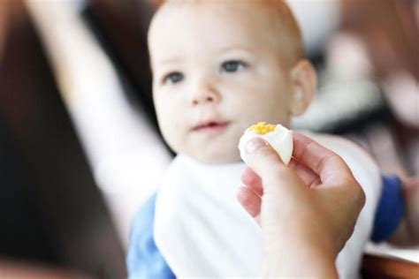 7 aylık bebeğe yumurta sarısı nasıl verilir